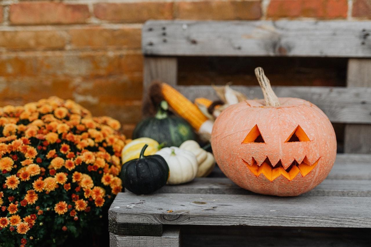 Fun Halloween Activities in LA to Explore