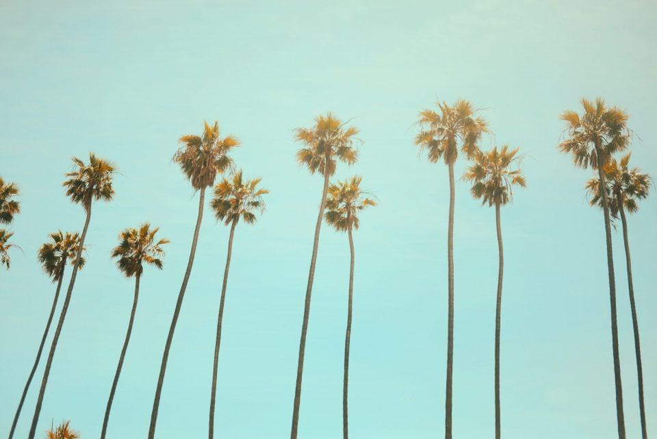 Slow-Paced Places in CA Retirees Are Moving To