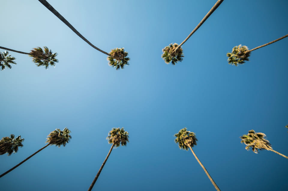Average Cost of Moving in Los Angeles