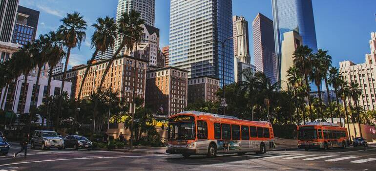 bus on the street