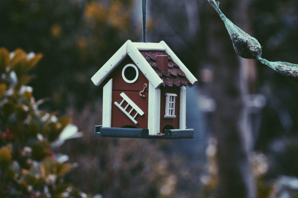 Creative Decorating Ideas to Explore